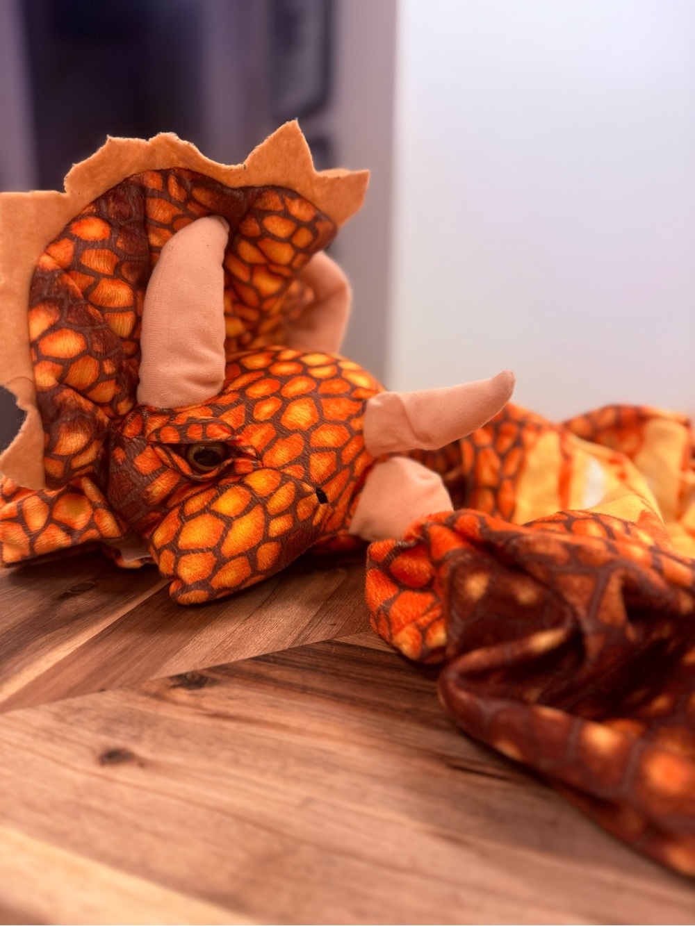 Child’s Triceratops Costume